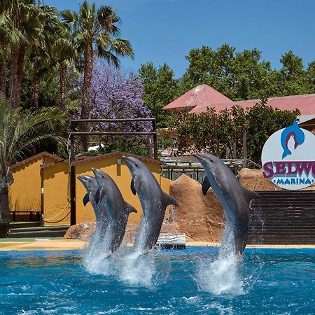 Apart With Swimming Pool Open All Year Benalmádena Eksteriør billede