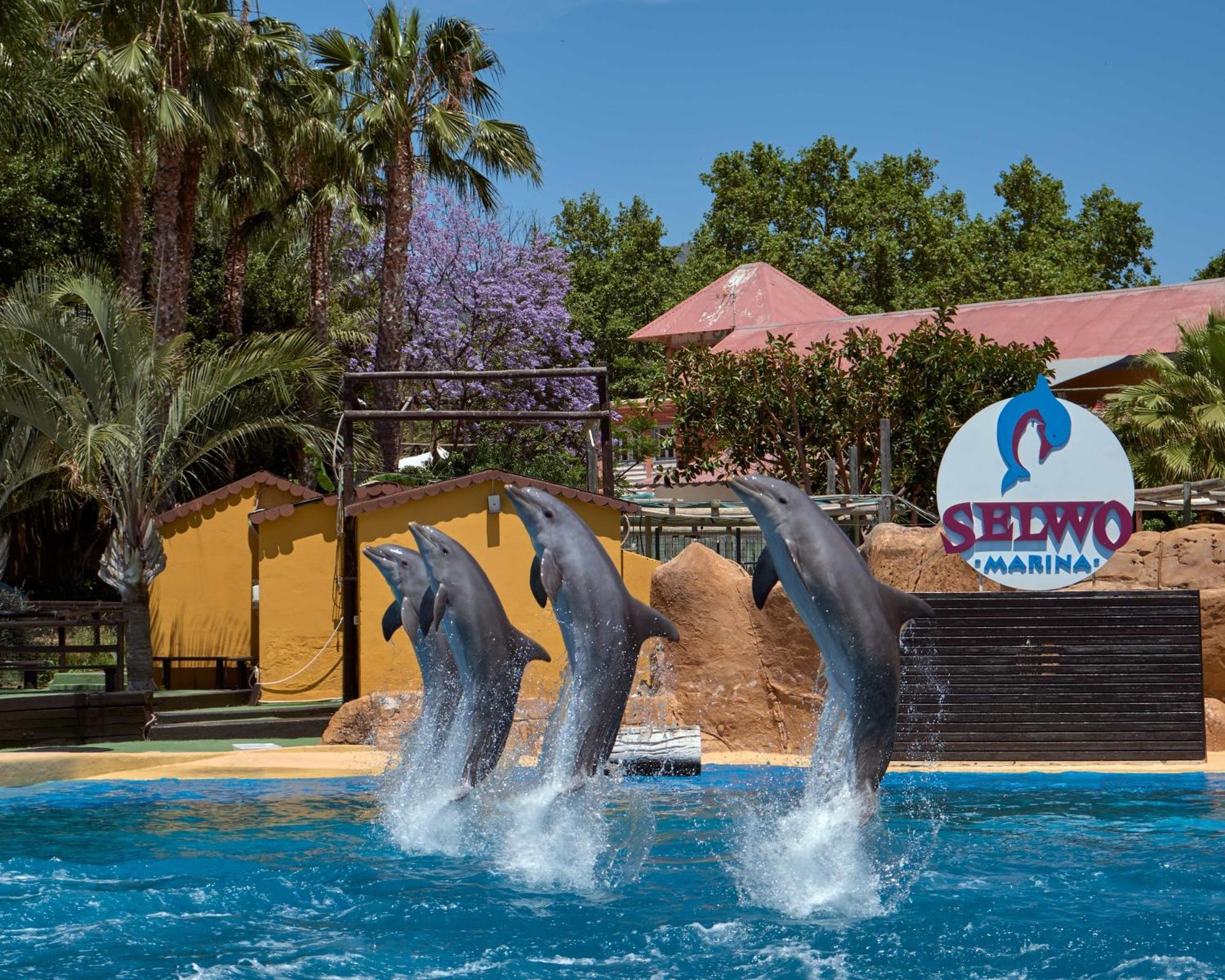 Apart With Swimming Pool Open All Year Benalmádena Eksteriør billede